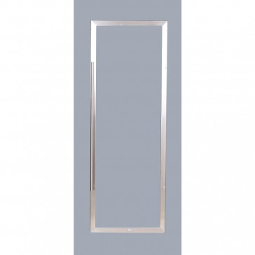 Polar St/St Door