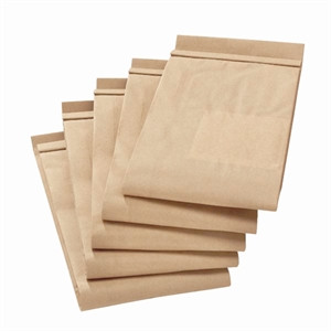 Karcher Vac Bags