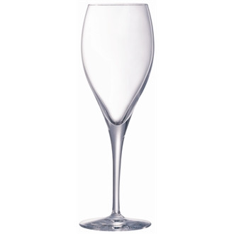 Chef and Sommelier Oenlogue Expert Champagne Flutes 260ml