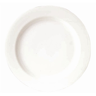 Royal Porcelain Classic White Wide Rim Plates 210mm