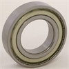 6006 Bearing