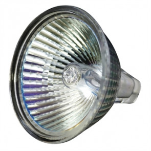 Halogen Lamp