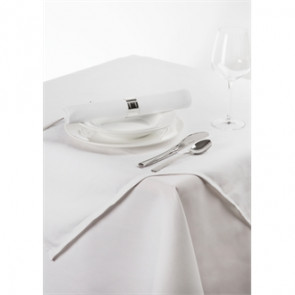 Palmar Polyester White Slipcloth